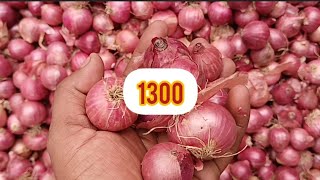 Bangalore,onion,market,prices 23/09/24