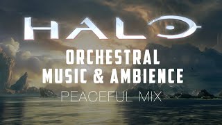 Halo | Peaceful Orchestral Music & Ambience - 3 Stunning Scenes in 4k