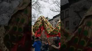 新年快乐 Chinese New Year in NEW YORK 2025 #yearofthesnake