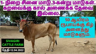 5-விற்பனை பதிவுகள்.1- நிறை சினை மாடு.3-கன்று மாடுகள்.கறவைக்கு கால் அணைக்க தேவை இல்லை.