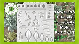 Flower Pro Ultimate Succulents Mold Part 2 of 3
