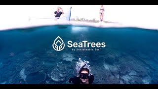 Empowering Brands & People to Take Direct Action to Reverse Climate Change with SeaTrees