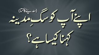 Apne aap ko sage madina (madine ka kutta) kehna jaiz he? || Allama Zia Ul Haq Bhatti hafizahullah