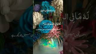 Surah al bakara heart touching voice