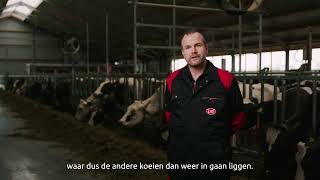 Lely Farm Management Support - Droge koeien apart zetten op het melkveebedrijf van Jelle Prins - NL