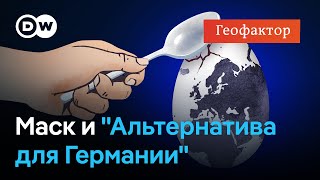 Маск вмешался в выборы в Германии? Что стоит за поддержкой АдГ, и при чем здесь Трамп - Геофактор