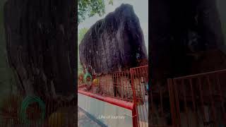 കല്ലിൽ ദേവി ക്ഷേത്രം | Kallil Devi temple Perumbavoor | life of journey