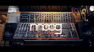 Moog Modular System 55 Reissue, Second-Hand (Signed by Jean-Michel Jarre)