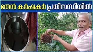 Honey Bee farming | തേൻ ഉത്പാദനം വൻതോതിൽ കുറഞ്ഞതോടെ തേൻ കർഷകർ പ്രതിസന്ധിയിൽ