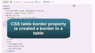 CSS Tutorial :css table border