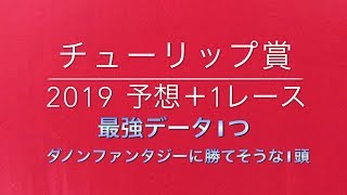 【競馬予想】 チューリップ賞 2019 予想 ＋1レース