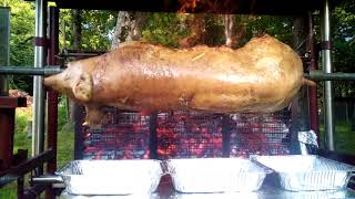 cochon de 30kg a la broche