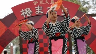 伊豆大島のあんこ椿まつり Izu Oshima Camellia Festival