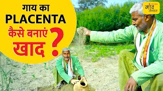 देसी गाय के एक PLACENTA से तैयार करें 10 एकड़ के लिए खाद | Gaon Junction LIVE