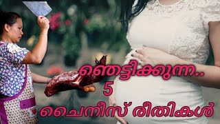 ചൈനയിലെ ഞെട്ടിപ്പിക്കുന്ന 5 രീതികൾ | Five Things About China | Malayalam | Fantastik Media