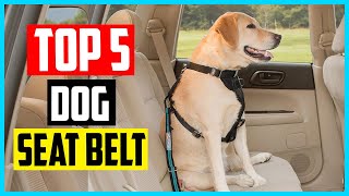 ✅ Top 5 Dog Seat Belt 2024 Review