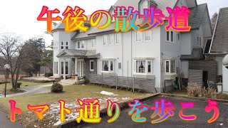 冬散歩 1月31日 金曜 曇り #午後の散歩道 トマト通りを歩こう  日本 鳥取県西伯郡伯耆町丸山 河津桜の丘 @WalkingYoshi