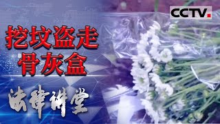 《法律讲堂(生活版)》墓园惊现\