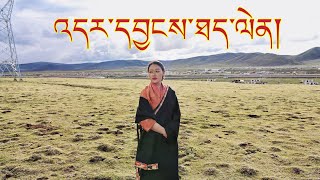 གཞས་རྙིང་གསར་ལེན།2023/06/12 ཉིན་གྱི་ཐད་ལེན།