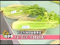 孿生蔬菜營養大pk！【57健康同學會】第841集 2013年