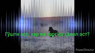 Гӯшти асп, хар ва харгӯш ҳалол аст? Домуло Мухамадулло 2020 Наворхои нав