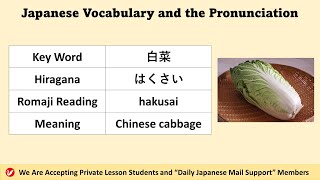 白菜 (はくさい、hakusai) | Chinese cabbage | Japanese Vocabulary and the Pronunciation