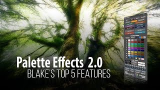 Palette Effects 2 Top Five Features