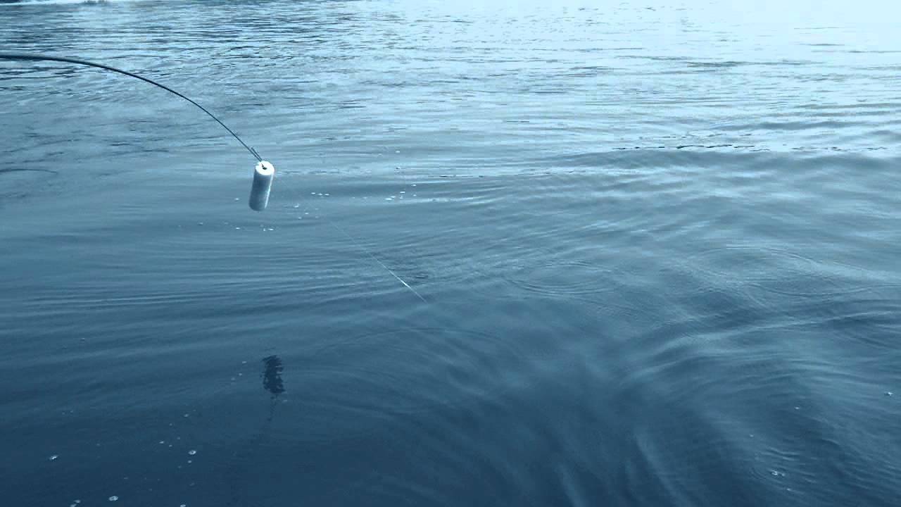 Noodle Fishing For Catfish With Larry's Jug Pole @ Www.jugfishingpole ...