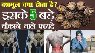 दशमूल क्या होते हैं II आयुर्वेद में दशमूल के फायदे I Dashmoola I Dashmoola Ingredients \u0026 Benefits