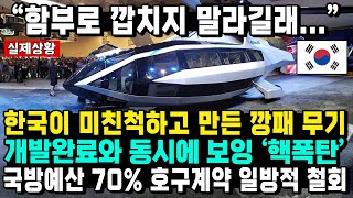 “함부로 깝치지 말라길래...” 한국이 미친척하고 만든 깡패 무기 개발완료와 동시에 보잉 ‘핵폭탄’ 국방예산 70% 호구계약 일방적 철회