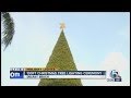 Christmas tree lighting ceremonies