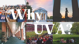 Wuva S Updated Guide To Grounds Episode 6 Why Uva