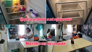 Limpieza extrema de mi refrigerador  + más organización /motivarte a limpiar  🫧🧹