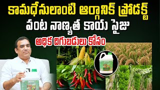 అన్ని పంటల్లో అధిక దిగుబడి కోసం..! | Oraganic Product For Crops | Kiran TV Rythu