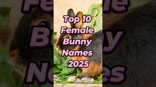 Top 10 Female Bunny Names 2025 🐰💖 | Cute Girl Rabbit Name Ideas! #shorts #bunnynames #petnames