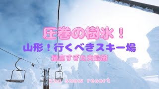 A must-go slope! Spectacular tree ice! Zao Onsen Ski Resort! 【YAMAGATA】