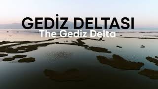 Gediz Deltası'nda 20 yıl!