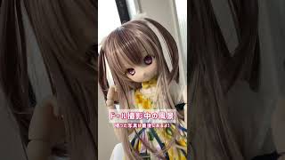 7秒で見るドール撮影!【bjd/VOLKS（MDD）DDH-01】#shorts