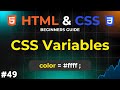 Master CSS Variables 🔥 | HTML and CSS Beginners Guide | IMS Coding