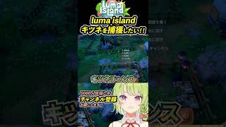 【luma island】キツネを捕獲したい！ #ルマ島 #vtuber #shorts