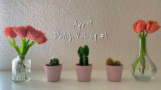 [VLOG] | 독일 공대생 브이로그👩🏻‍💻 | 아헨공대, 개강, 장 보기, 요리하기