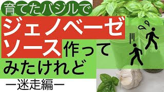 育てたバジルでジェノベーゼソース(バジルソース)を作る−迷走編− Basil Pesto