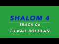 shalom 4 track 06