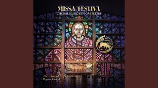 Missa in honorem Sanci Josephi, Op. 21: IV. Sanctus