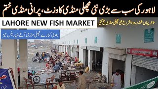 New fish market lahore | New fish mandi lahore | New machli mandi | New fish mandi lahore