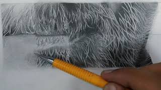 How To Draw White Beard Easily | Step by Step Tutorial for Beginners | White Moustache or Hair trick