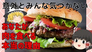 【ゆっくり】なぜあなたは肉を食べるの？