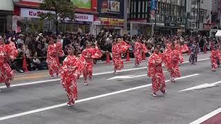 東京よさこい2017・前日祭 ～ 明星