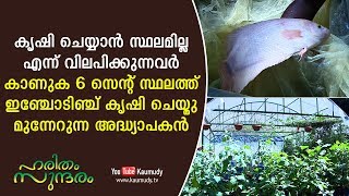 A Teacher who does farming in 6 cents | A must watch for folks who dream about farming