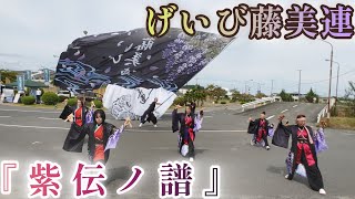 げいび藤美連 「紫伝ノ譜」 🚗 2024/9/28 前沢自動車学校 秋の感謝祭 【4K】